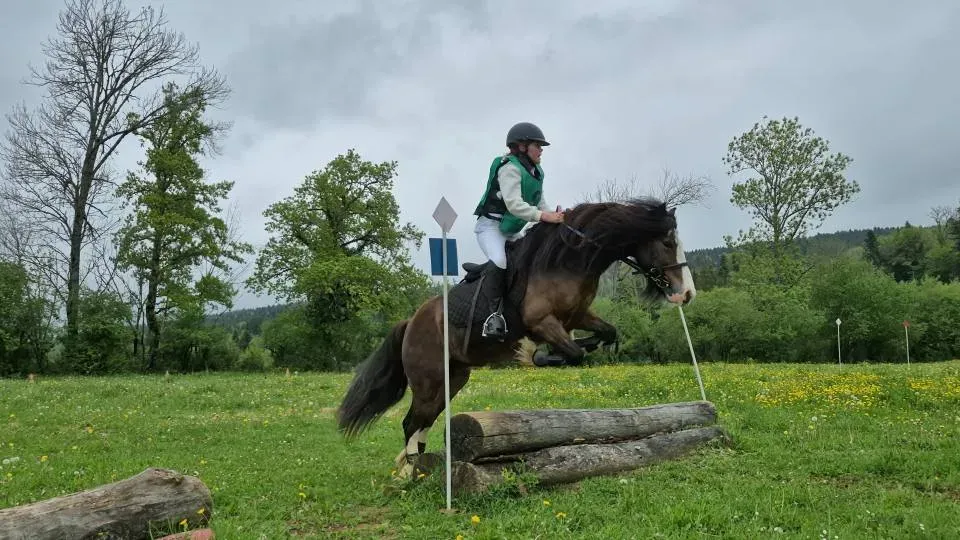 cours d'equitation (1)